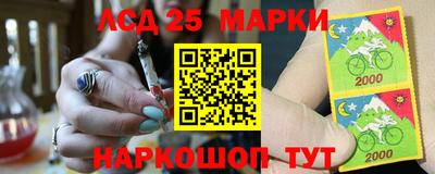 дмт Камышлов