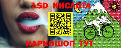 дмт Камышлов